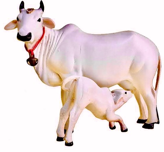 gau mata